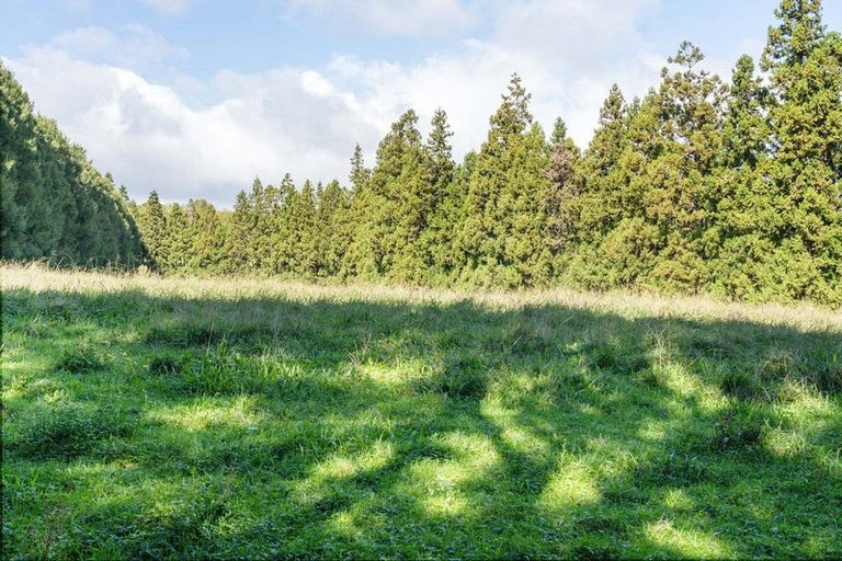 Photo of property in 486 Esdaile Road, Whakamarama, Tauranga, 3180