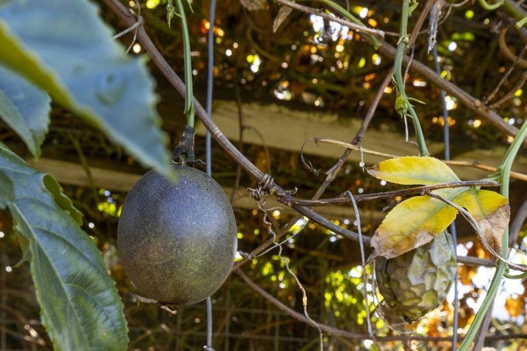 Photo of property in 5 Kaituna Place, Havelock, 7100