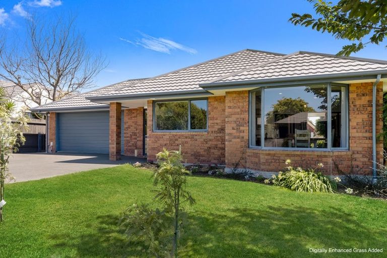Photo of property in 10 Hillside Terrace, Witherlea, Blenheim, 7201