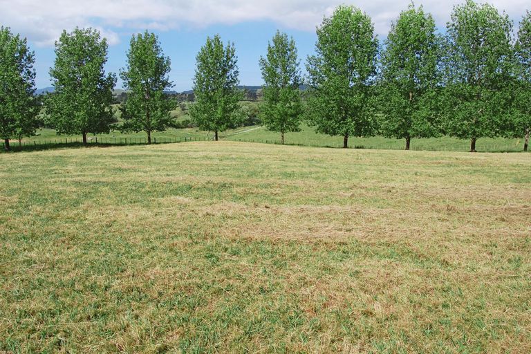 Photo of property in 84 Rangiora Road, Kaiwaka, 0573