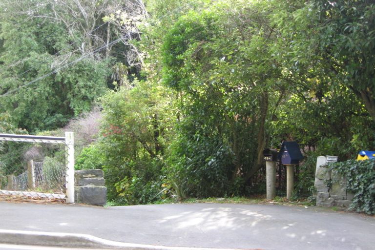 Photo of property in 43d Littlebourne Road, Roslyn, Dunedin, 9010