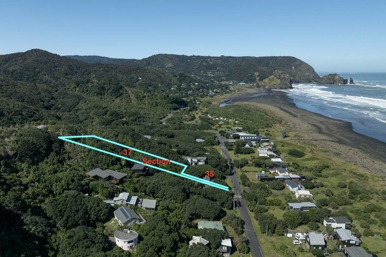 Photo of property in 35 North Piha Road, Piha, 0772