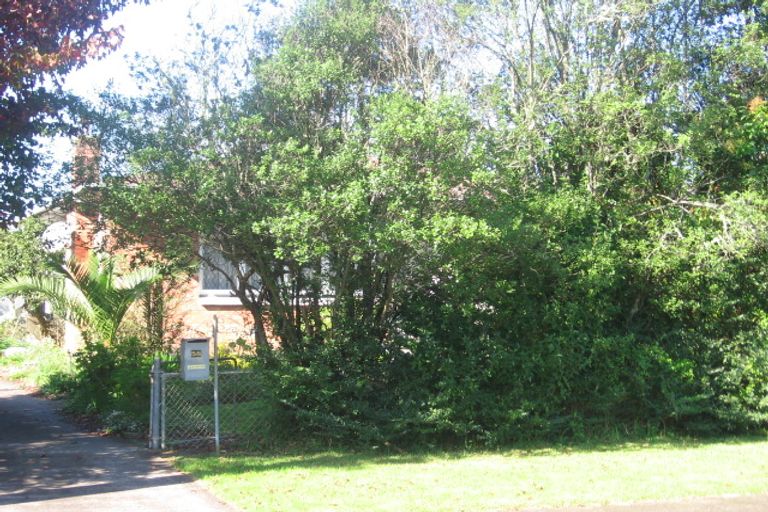 Photo of property in 58 Smythe Road, Henderson, Auckland, 0612