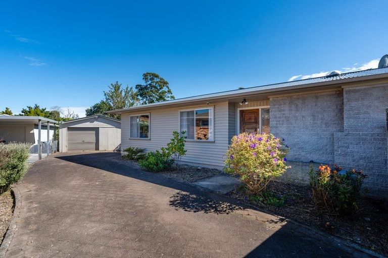 Photo of property in 83 Bruce Avenue, Glenview, Hamilton, 3206