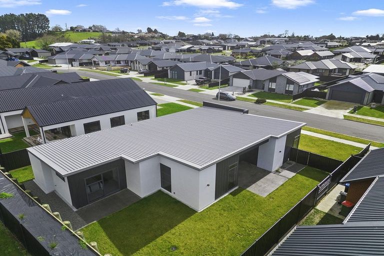 Photo of property in 87 Page Crescent, Te Awamutu, 3800