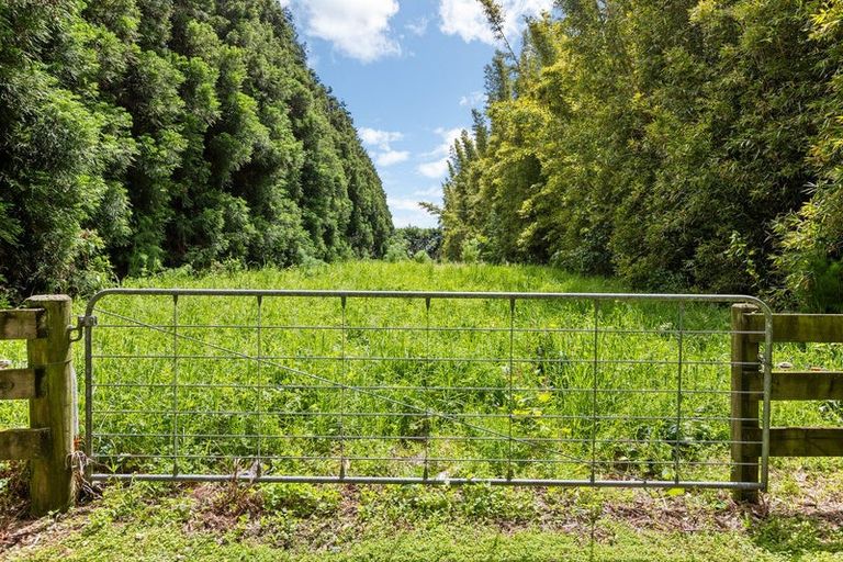 Photo of property in 139 Richmond Road, Brixton, New Plymouth, 4373