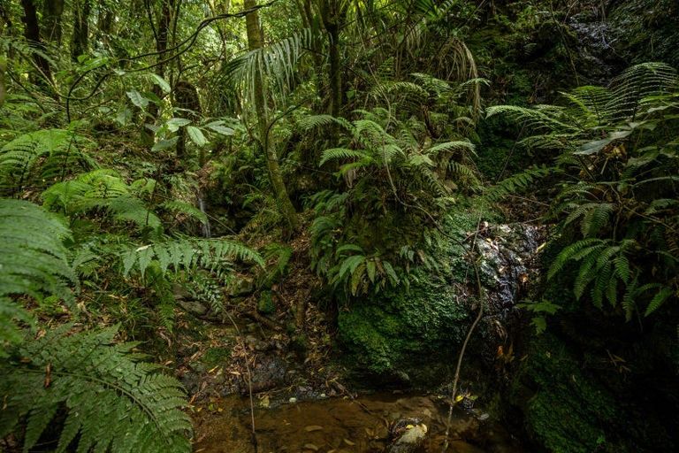 Photo of property in 185 Kanuka Rise, Wakapuaka, Nelson, 7071
