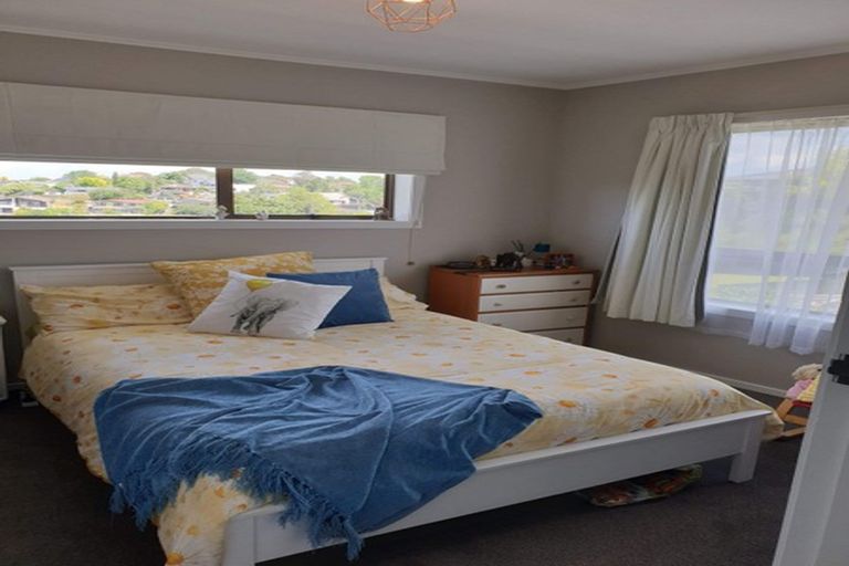 Photo of property in 19 Maple Avenue, Dinsdale, Hamilton, 3204