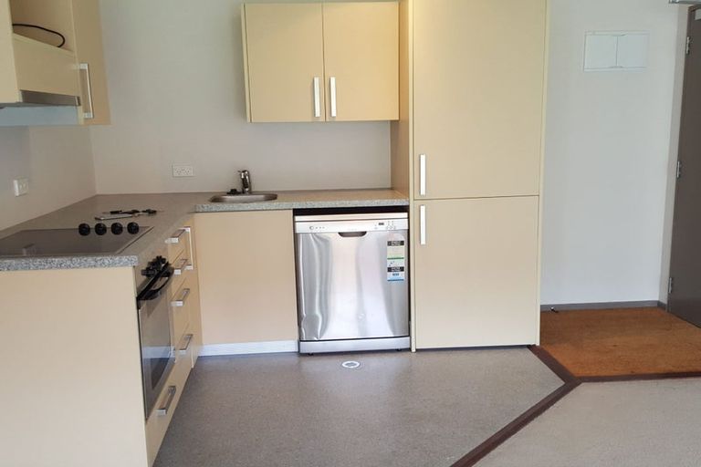 Photo of property in Dual Apartments, 210/142u Vivian Street, Te Aro, Wellington, 6011