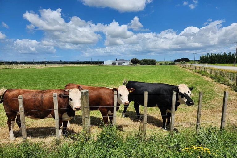 Photo of property in 2 Tramline Road, Ruawai, 0592