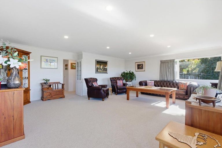 Photo of property in 51 Hampton Terrace, Parkvale, Tauranga, 3112