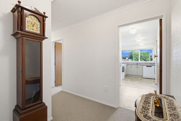 Photo of property in 45 Dittmer Drive, Awapuni, Palmerston North, 4412