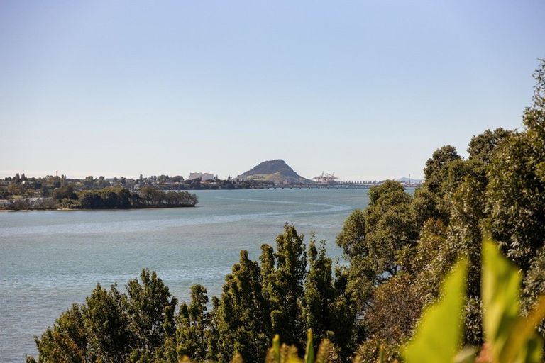 Photo of property in 63 Ririnui Place, Maungatapu, Tauranga, 3112