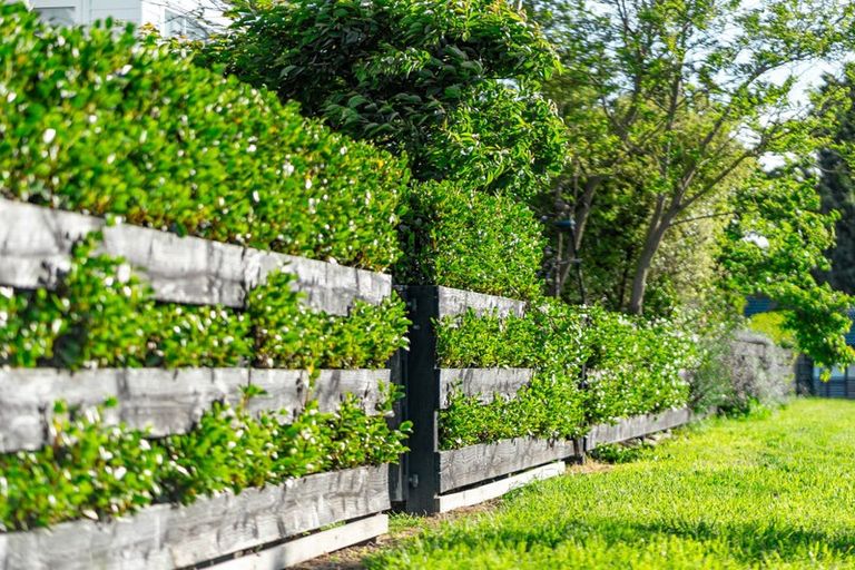 Photo of property in 2 Atatu Lane, Wigram, Christchurch, 8025