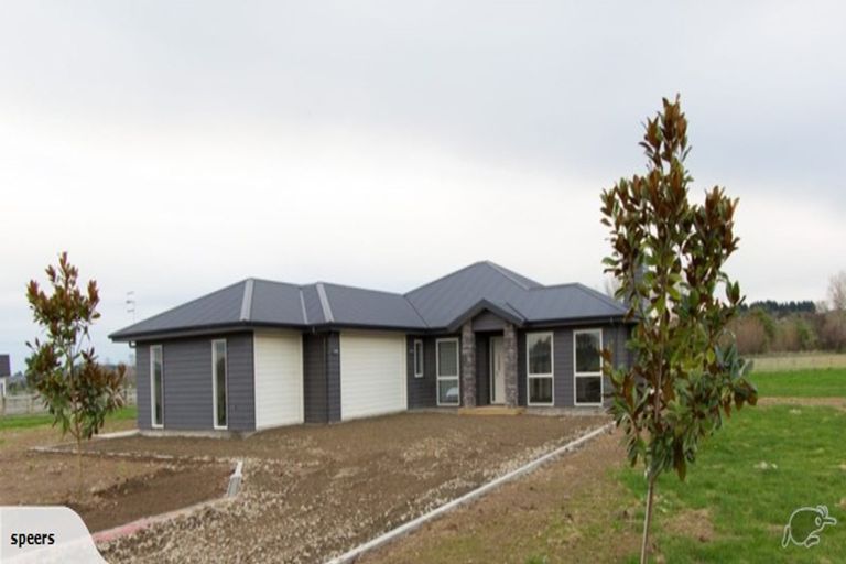 Photo of property in 19 Clare Court, Feilding, 4777