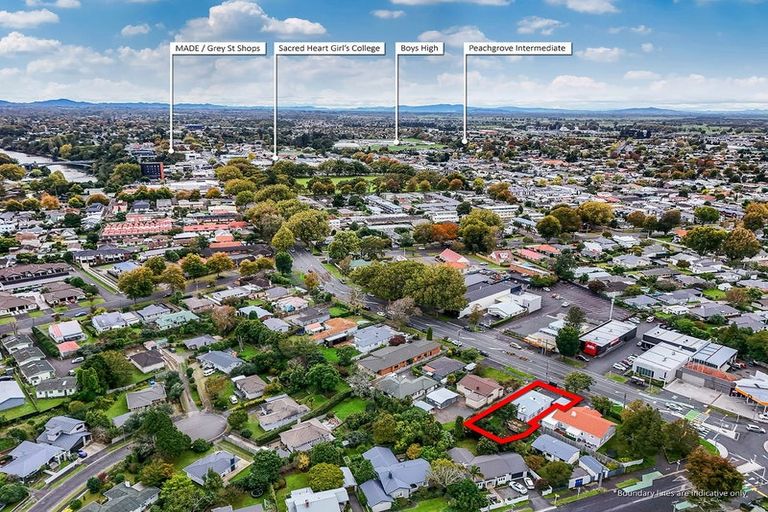 Photo of property in 123 Grey Street, Hamilton East, Hamilton, 3216