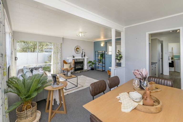 Photo of property in 183 Tiro Tiro Road, Levin, 5510