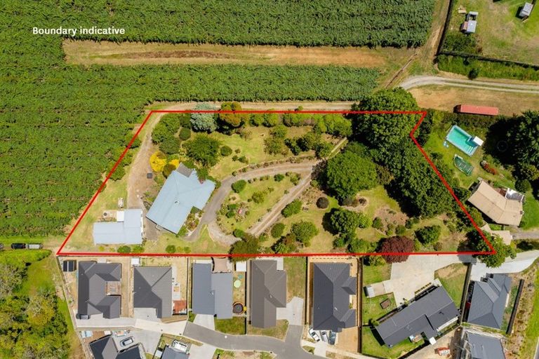Photo of property in 50 Macloughlin Drive, Te Puke, 3119