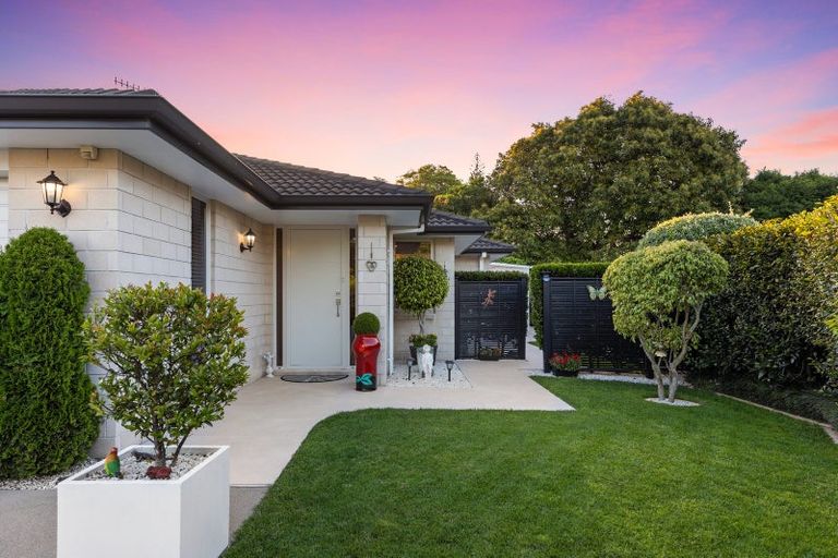 Photo of property in 17 Hansard Place, Bethlehem, Tauranga, 3110