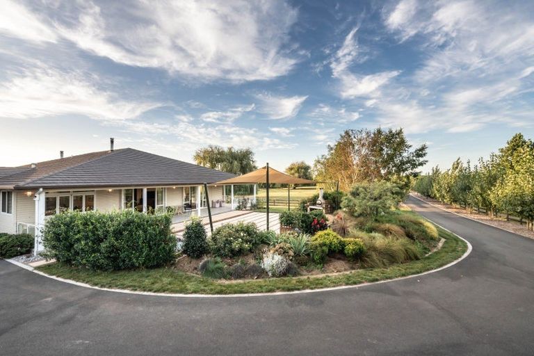 Photo of property in 81 Racecourse Road, Cambridge, 3493