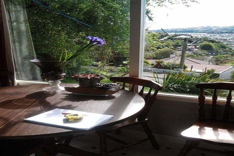 Photo of property in 30 Ravenswood Road, Saint Clair, Dunedin, 9012