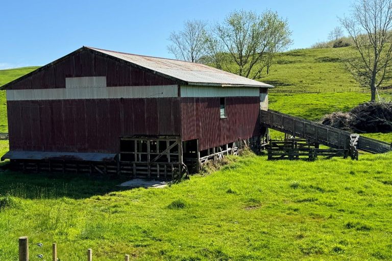 Photo of property in 445 Avoca Road, Mamaranui, Dargaville, 0372