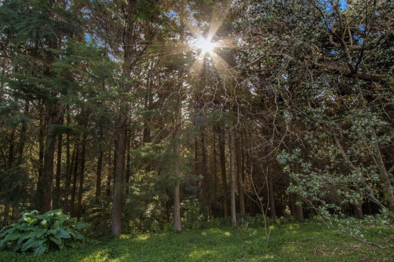 Photo of property in 308 Athenree Road, Athenree, Katikati, 3177