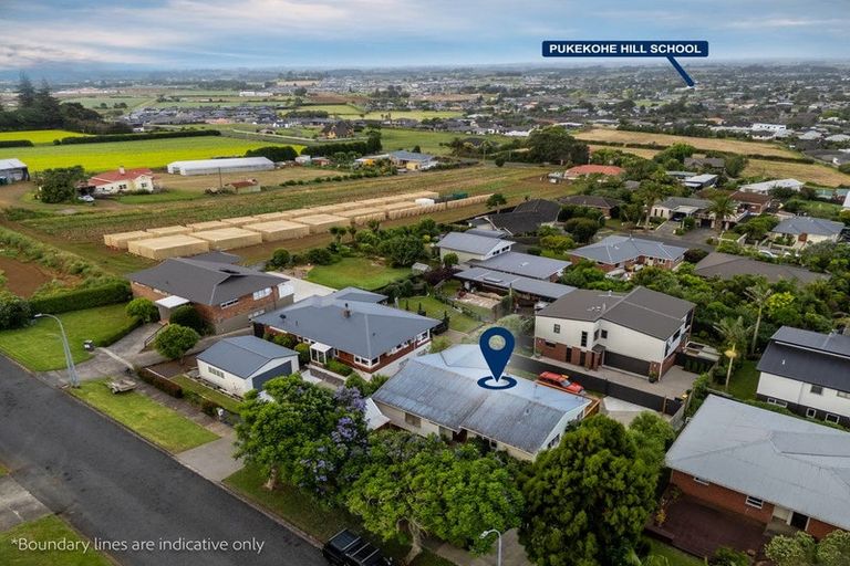 Photo of property in 11 Routly Avenue, Pukekohe, 2120