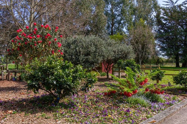Photo of property in 56 Upper Manaia Road, Upper Plain, Masterton, 5888