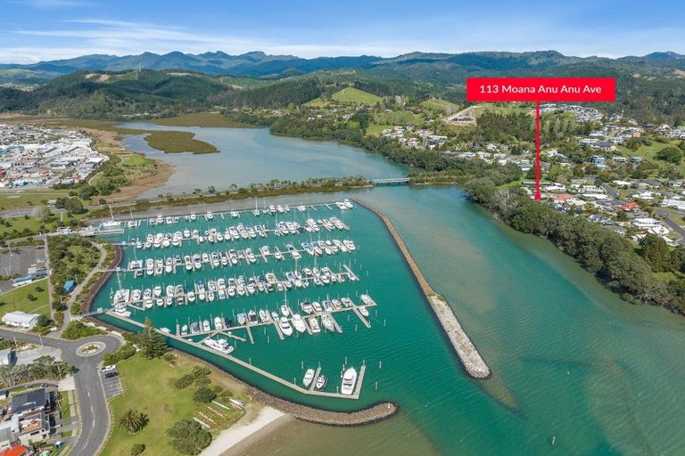 Photo of property in 113 Moana Anu Anu Avenue, Whangamata, 3620