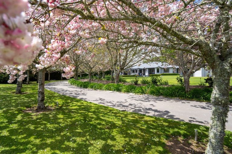 Photo of property in 80 Maungakawa Road, Cambridge, 3496