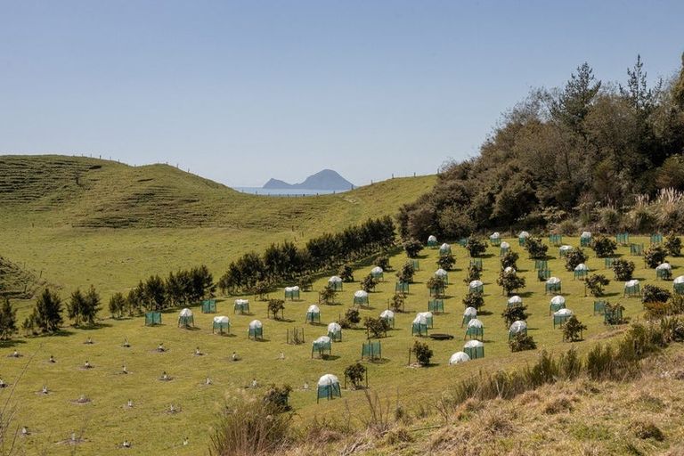 Photo of property in 230b Withy Road, Manawahe, Whakatane, 3193