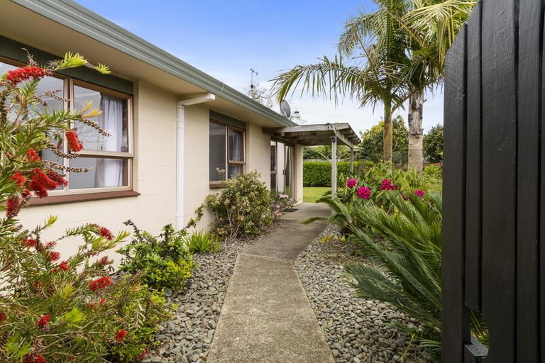 Photo of property in 424b Maungatapu Road, Maungatapu, Tauranga, 3112