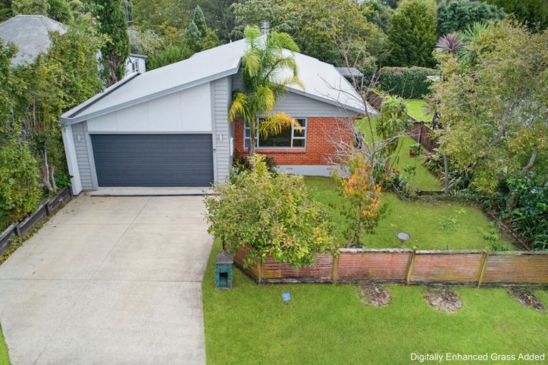 Photo of property in 5 Armagh Street, Greerton, Tauranga, 3112