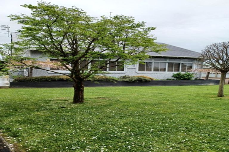 Photo of property in 11 Essex Street, Levin, 5510