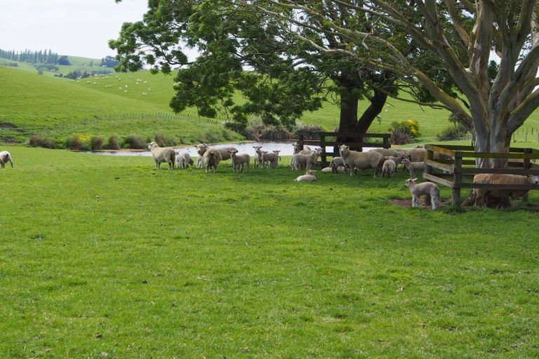 Photo of property in 1962 State Highway 2, Waipukurau, 4275
