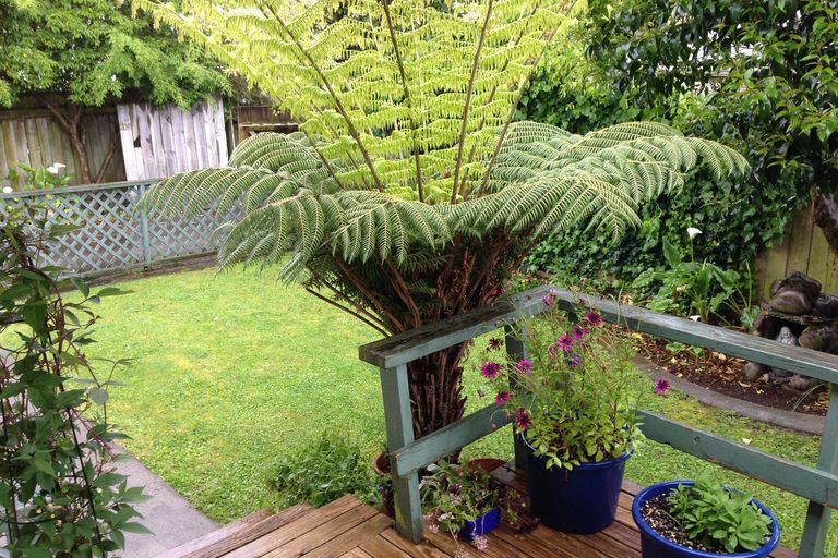 Photo of property in 20c Frederick Street, Terrace End, Palmerston North, 4410