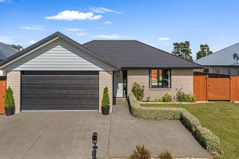 Photo of property in 45 Catalina Crescent, Burleigh, Blenheim, 7201