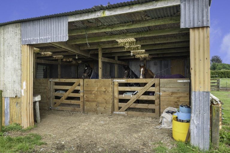 Photo of property in 483 Beaconsfield Road, Stratford, 4394