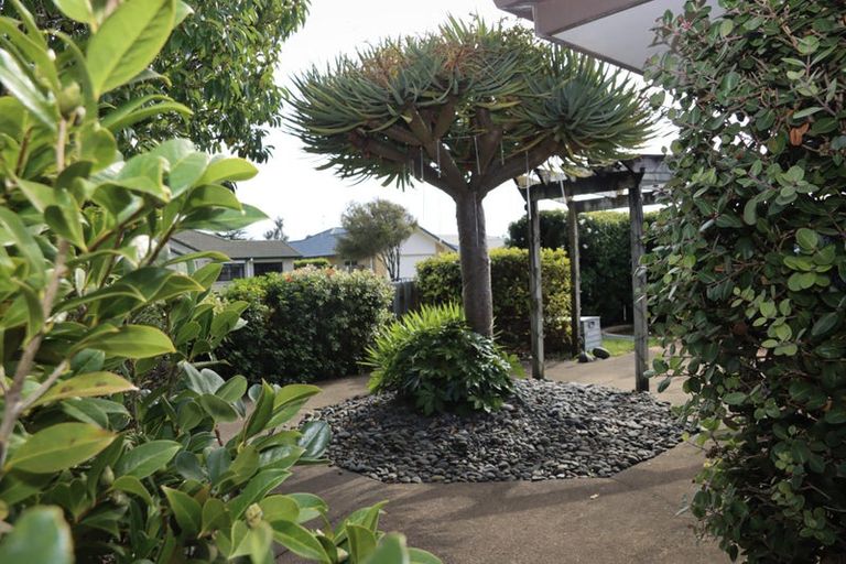 Photo of property in 14b Rosberg Place, Mount Maunganui, 3116