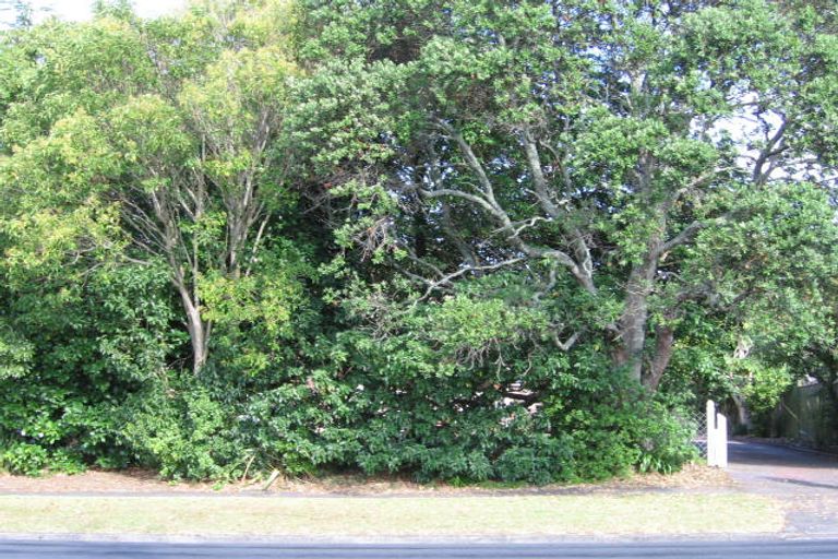 Photo of property in 52 Golf Road, New Lynn, Auckland, 0600