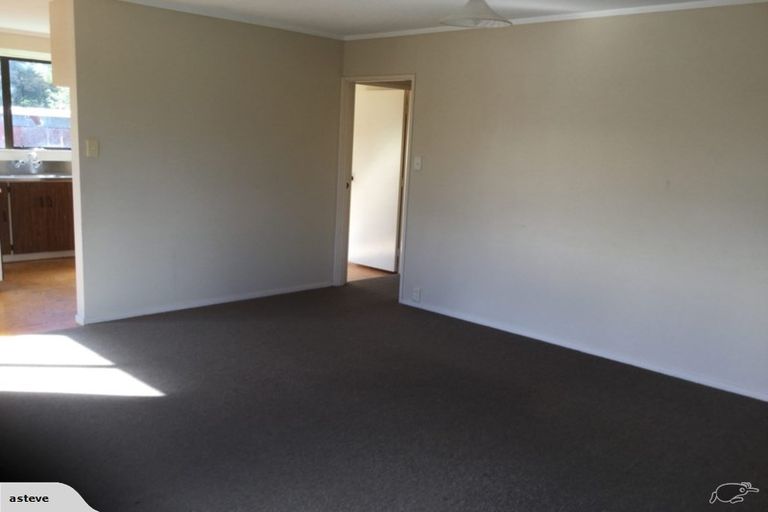 Photo of property in 38a Casey Avenue, Fairfield, Hamilton, 3214