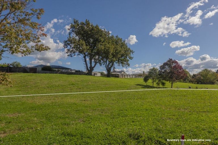 Photo of property in 3 Double Oaks Drive, Paeroa, 3600