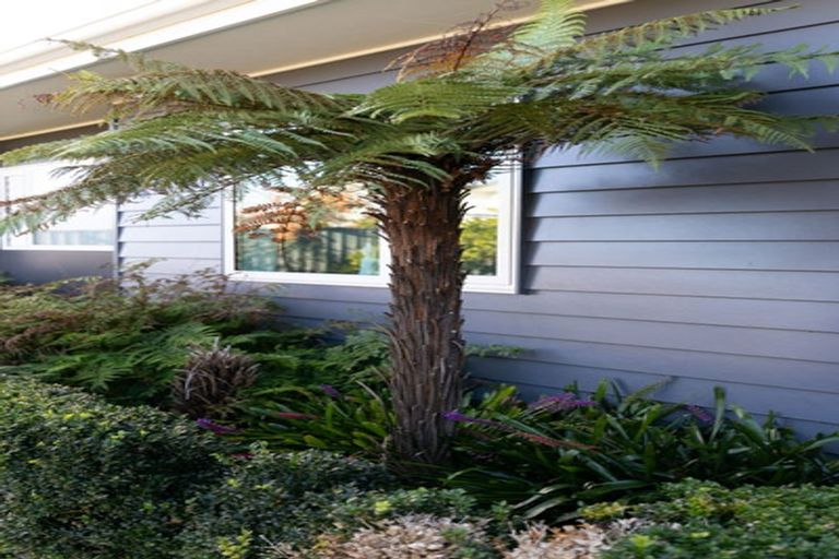 Photo of property in 155 Arataki Road, Havelock North, 4130