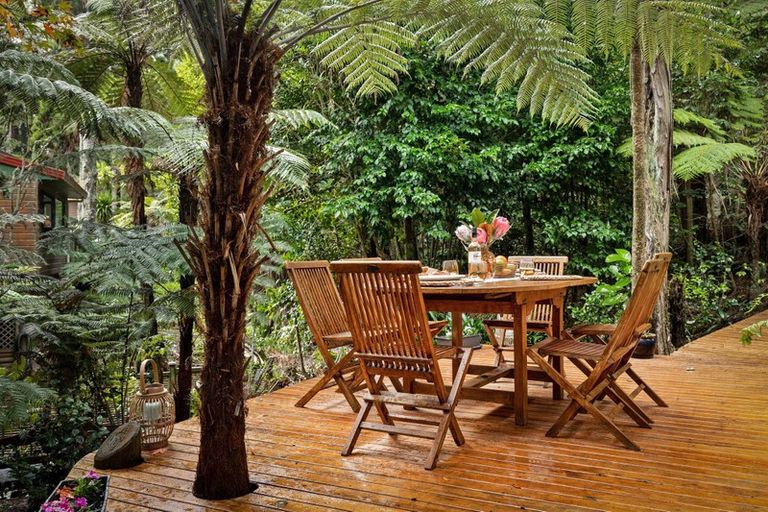 Photo of property in 113 Daffodil Street, Titirangi, Auckland, 0604