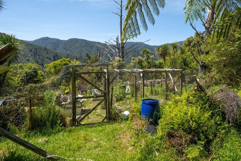 Photo of property in 565 Anakoha Road, Anakoha, Marlborough Sounds, 7284