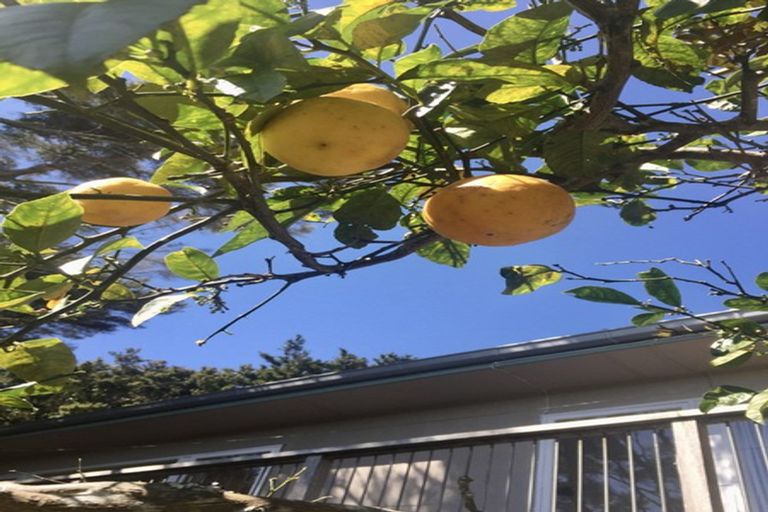 Photo of property in 4 Tranquil Glade, Hillcrest, Auckland, 0627