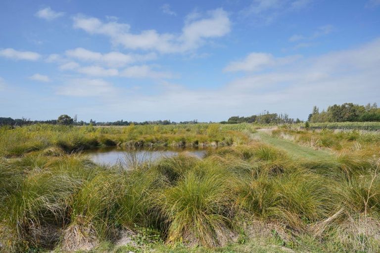 Photo of property in 55 Koura Drive, Rangiora, 7400