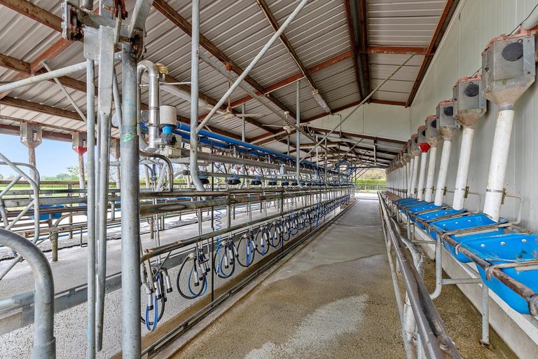 Photo of property in 72 Harding Road, Turangaomoana, Matamata, 3471