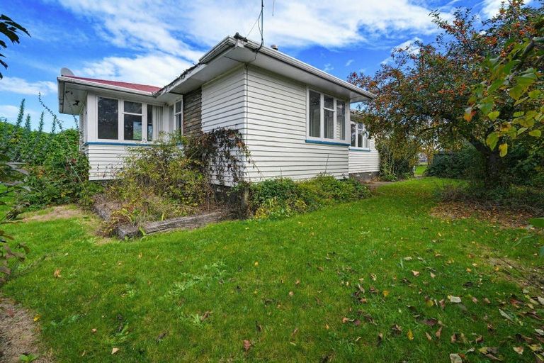 Photo of property in 24 Hawkswood Street, Waiau, 7332
